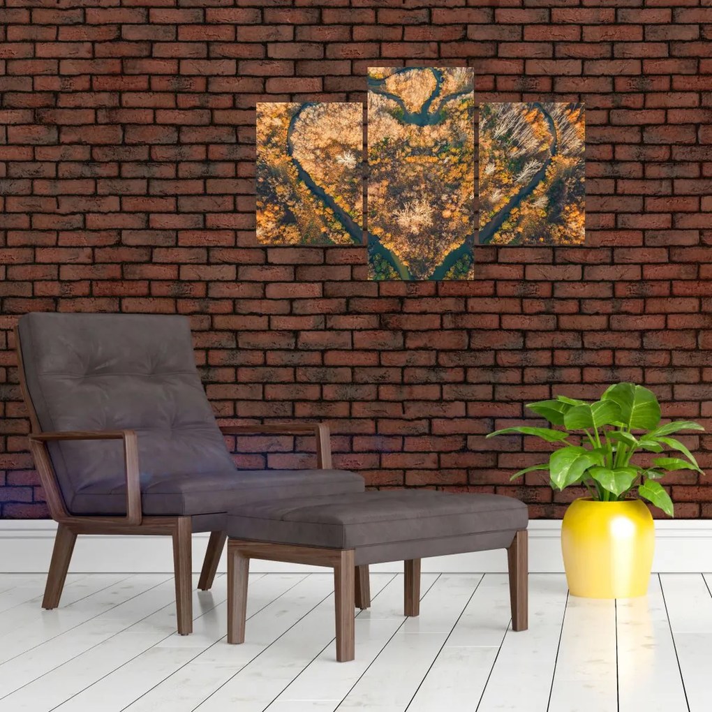 Tablou - Râu în formă de inimă (90x60 cm)