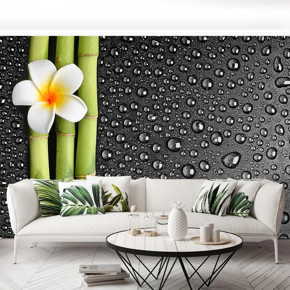 Fototapet frangipani flori