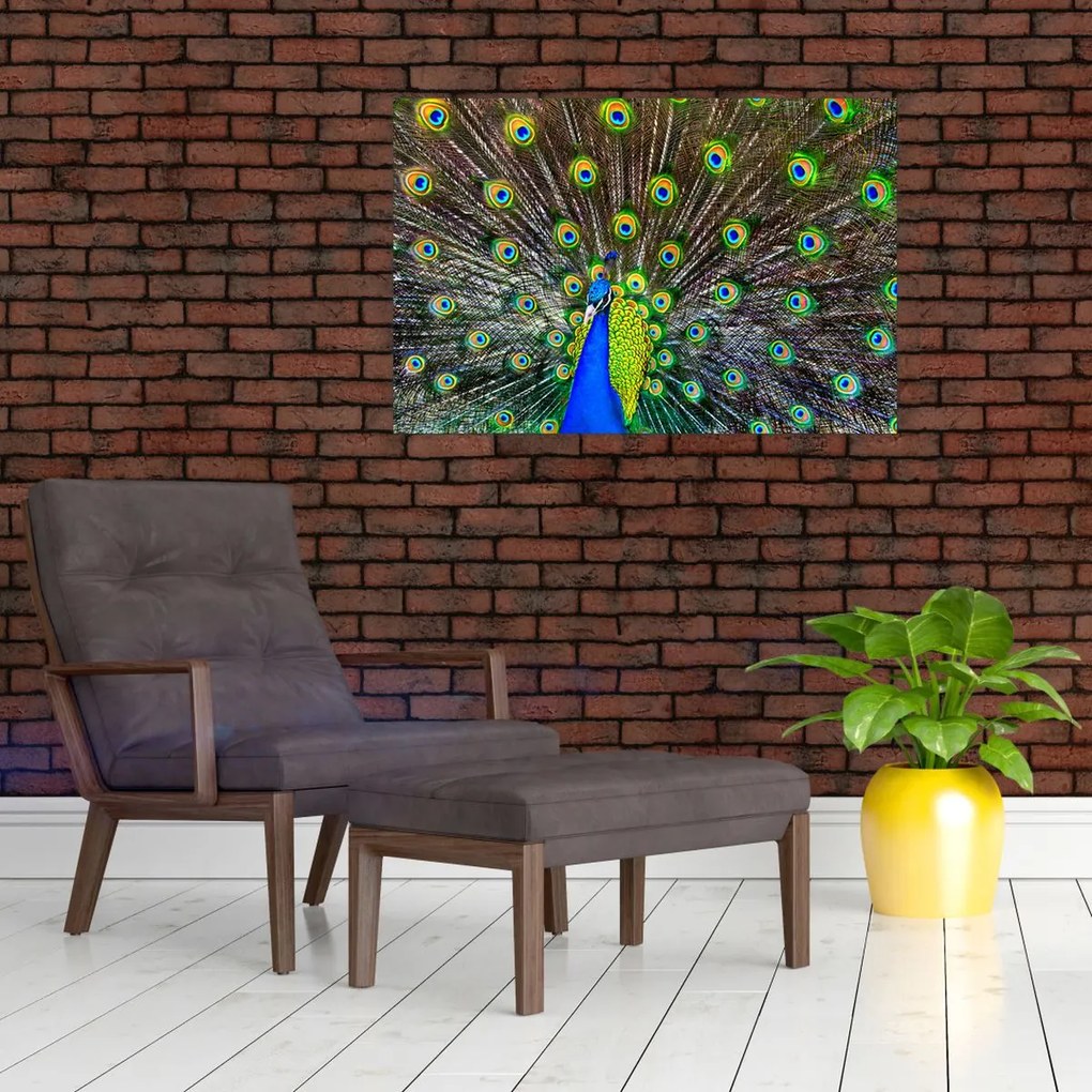 Tablou - Păun (90x60 cm)