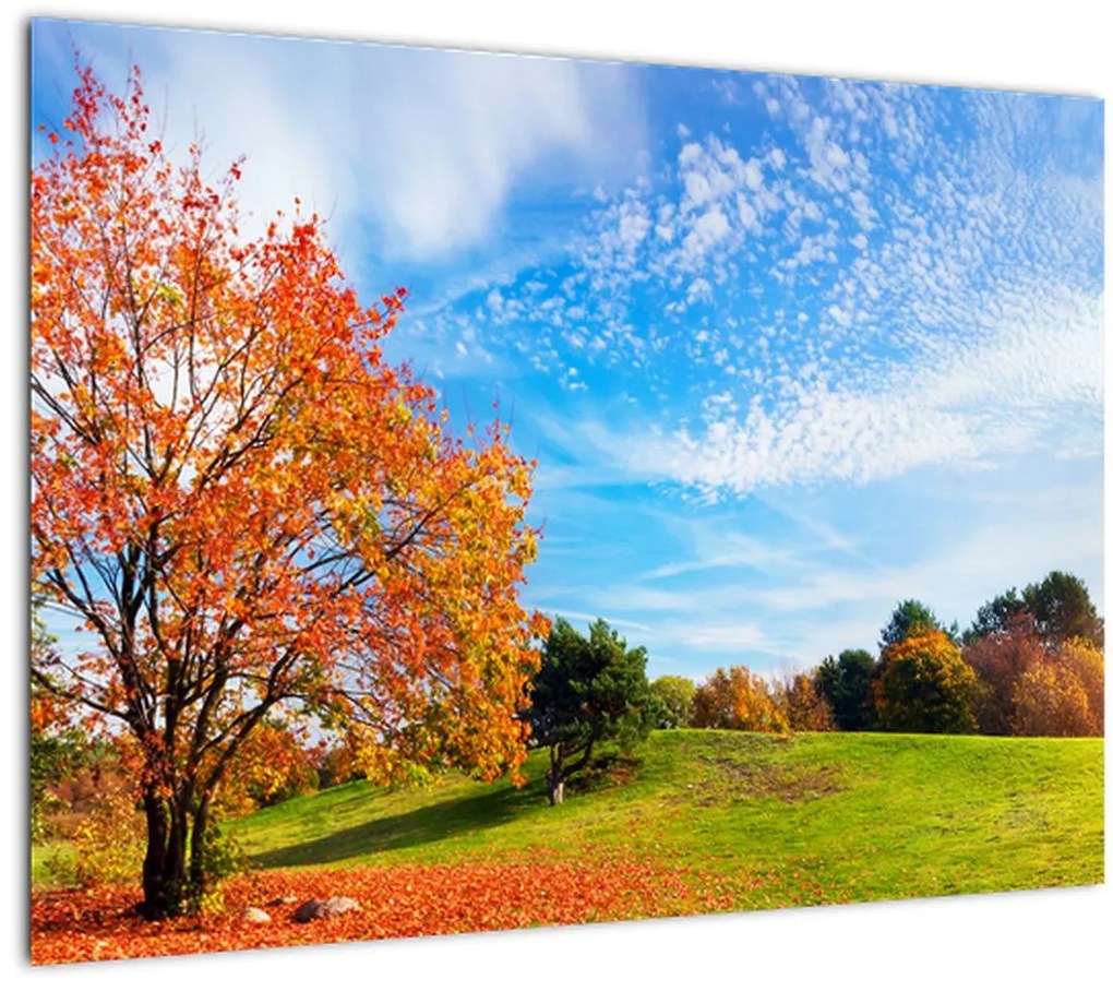 Tablou pe sticlă - Peisaj de toamnă (70x50 cm)