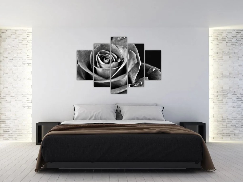 Tablou - Trandafir,alb-negru (150x105 cm)