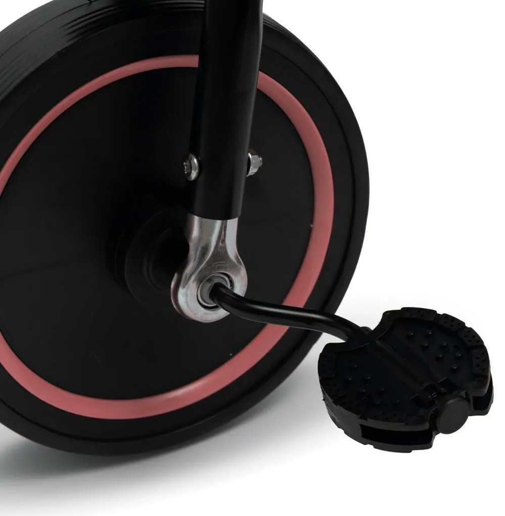 Baby Mix Triciclu pentru copii Peony EVA, roz