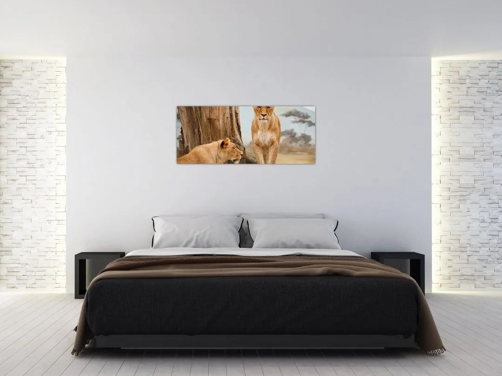 Tablou - două leoaice (120x50 cm)