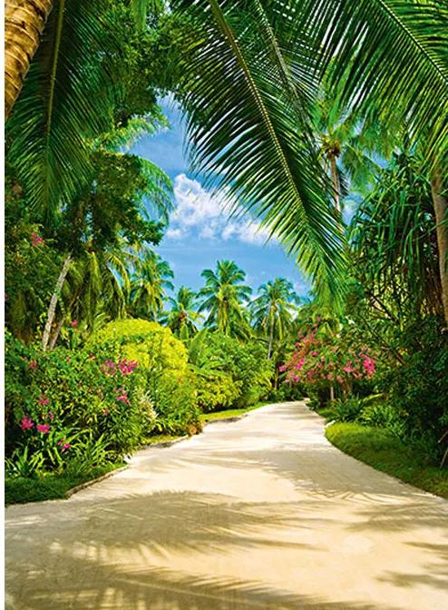 Fototapet Tropical Pathway -  183x254 cm