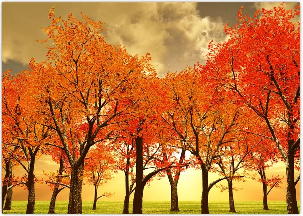 Tablou - Toamna (70x50 cm)