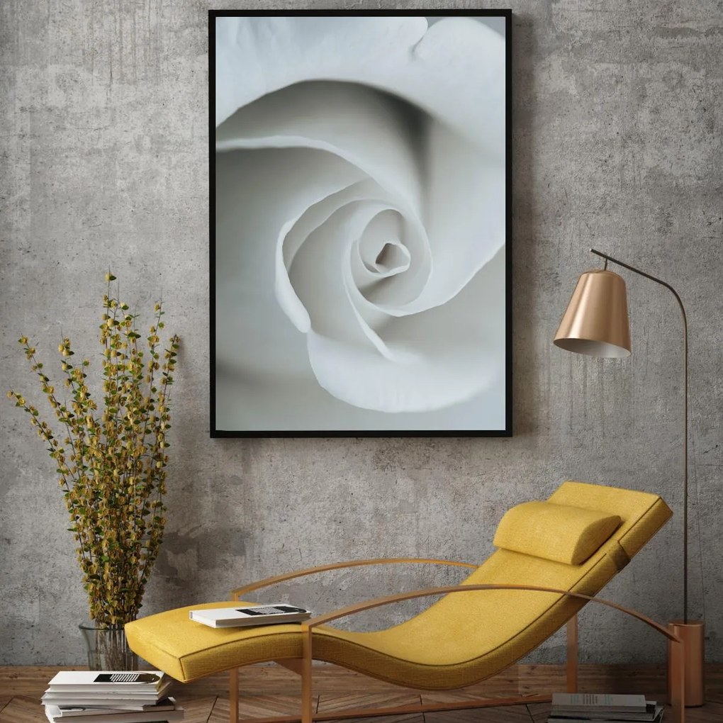 Poster - White Rose (A4)