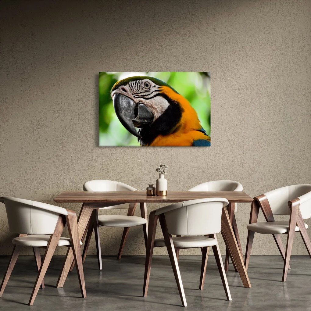Tablou cu papagal (90x60 cm)