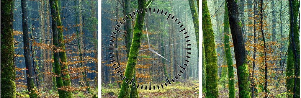 Tablou cu pădure (cu ceas) (90x30 cm)