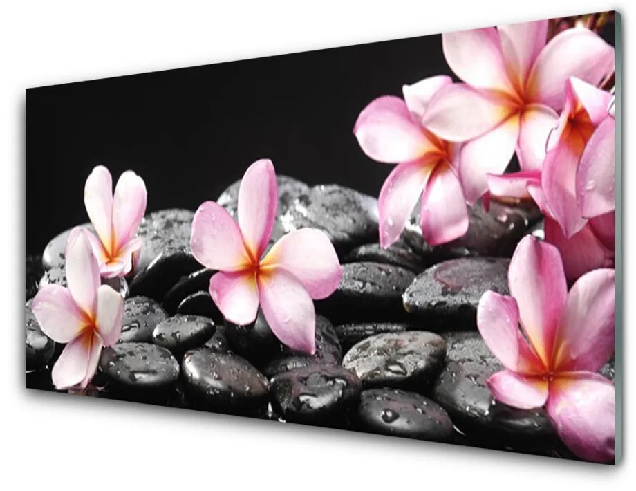 Tablou pe sticla acrilica Pietrele florale flori roz negru