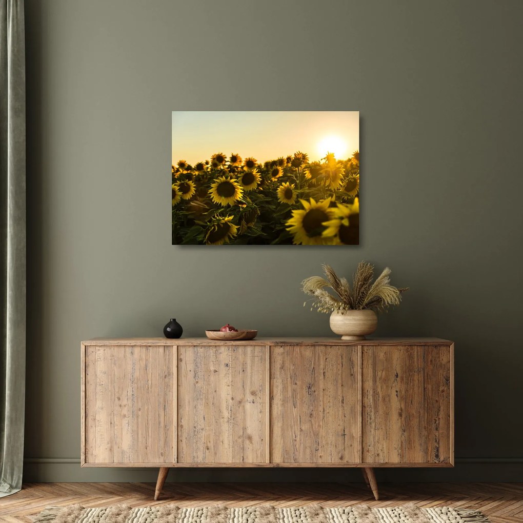 Tablou pe sticlă cu lan de floarea soarelui (70x50 cm)