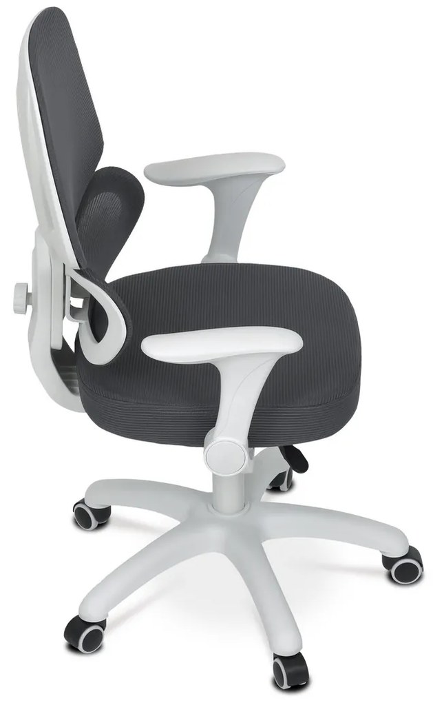 Scaun de birou Autronic KA-K1063 GREY , gri