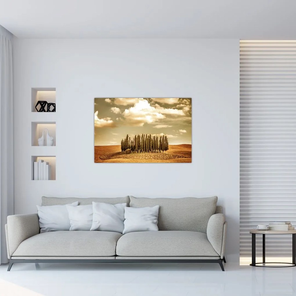 Tablou cu luncă (90x60 cm)