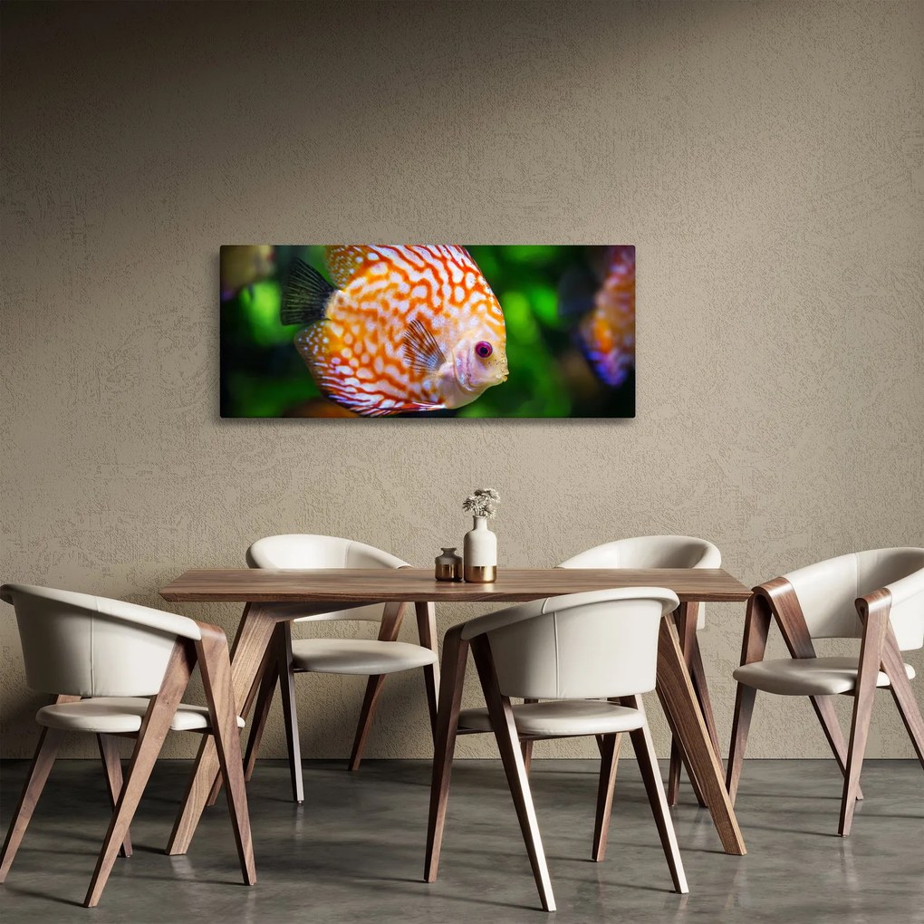 Tablou cu pește (120x50 cm)