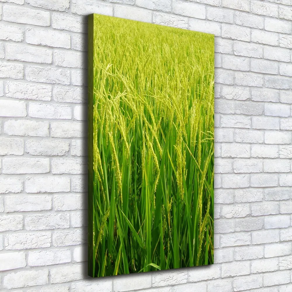 Tablou canvas Orezarie