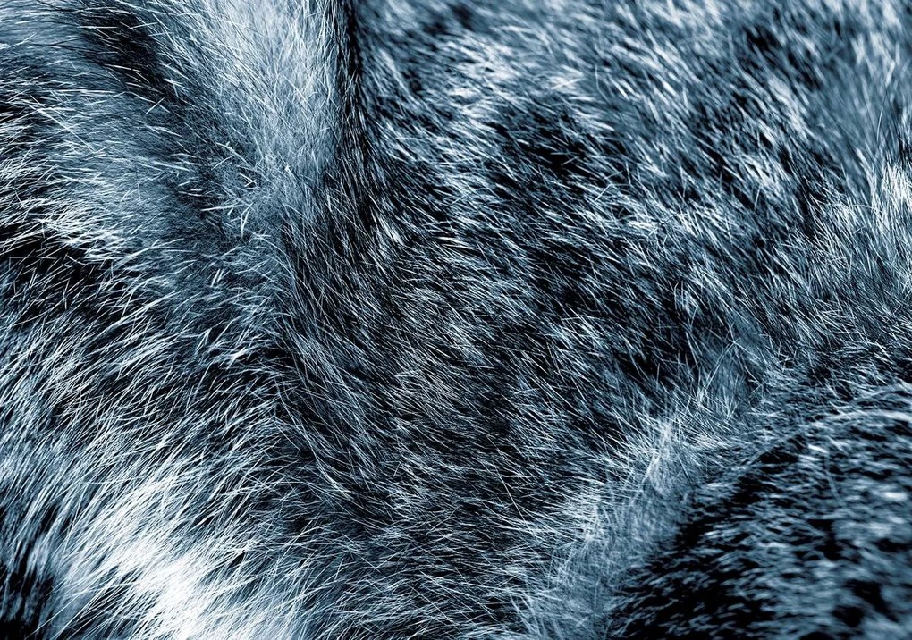 Fototapet - Blana albastră (152,5x104 cm)