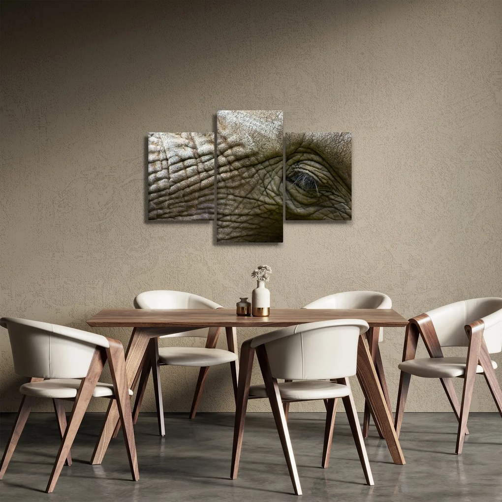 Tablou - Prim-planul ochiului de elefant vechi (90x60 cm)