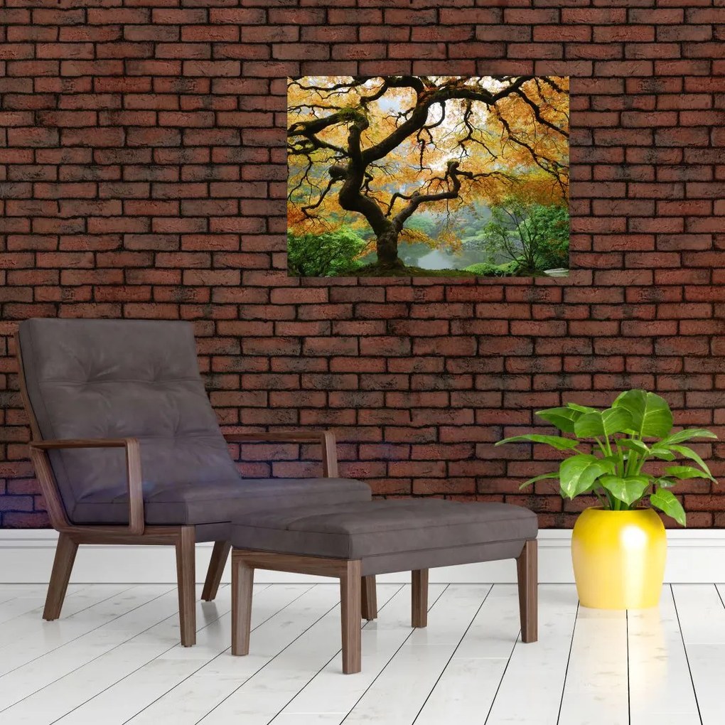 Tablou - Arțarul japonez galben, Portland, Oregon (70x50 cm)