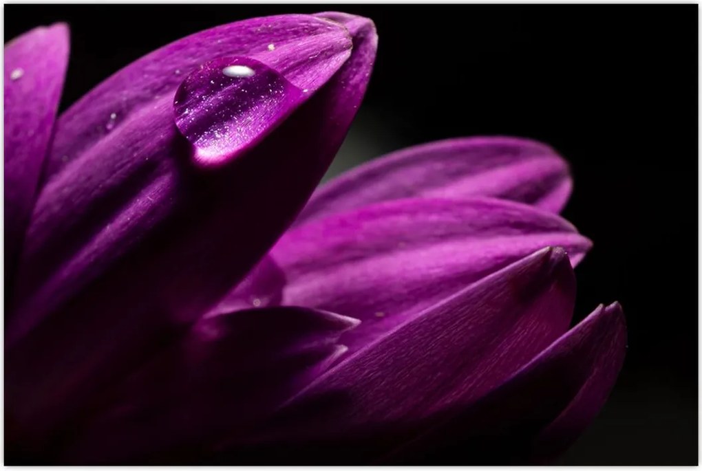 Tablou - Picătura de apă (90x60 cm)