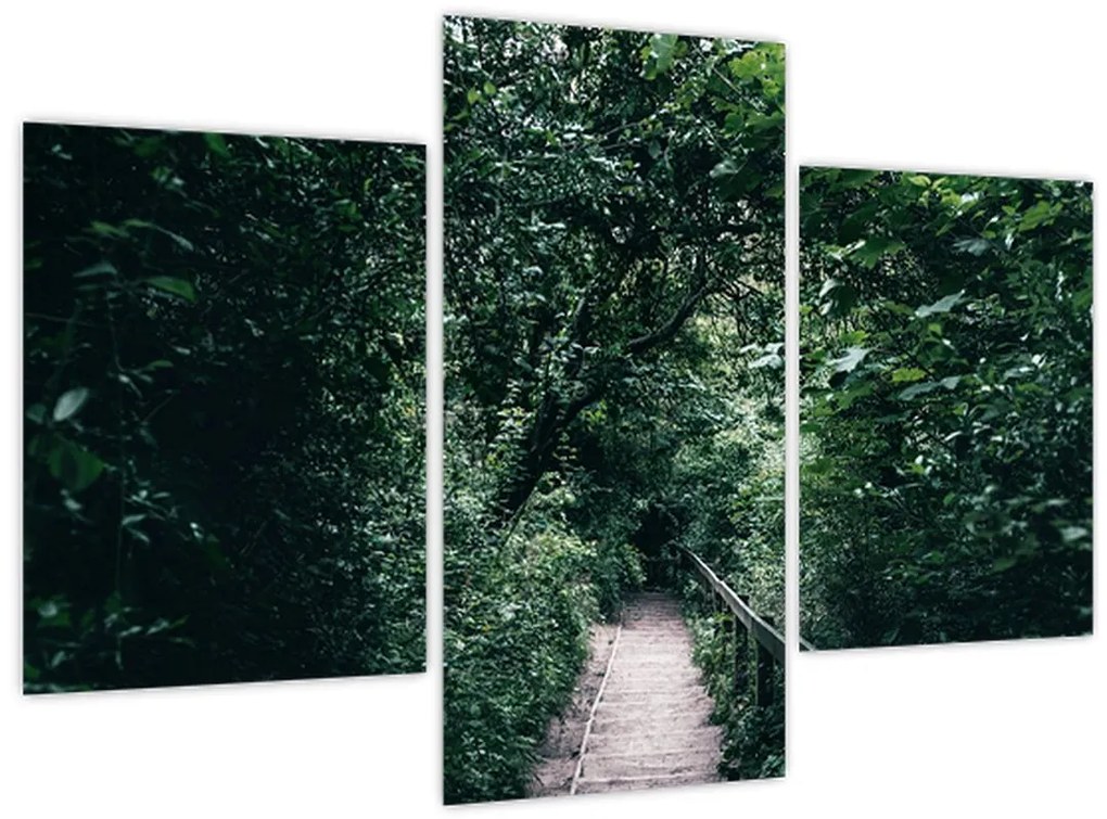 Tablou - Drumul prin pădure (90x60 cm)