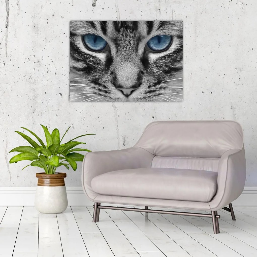 Tablou cu pisica (70x50 cm)
