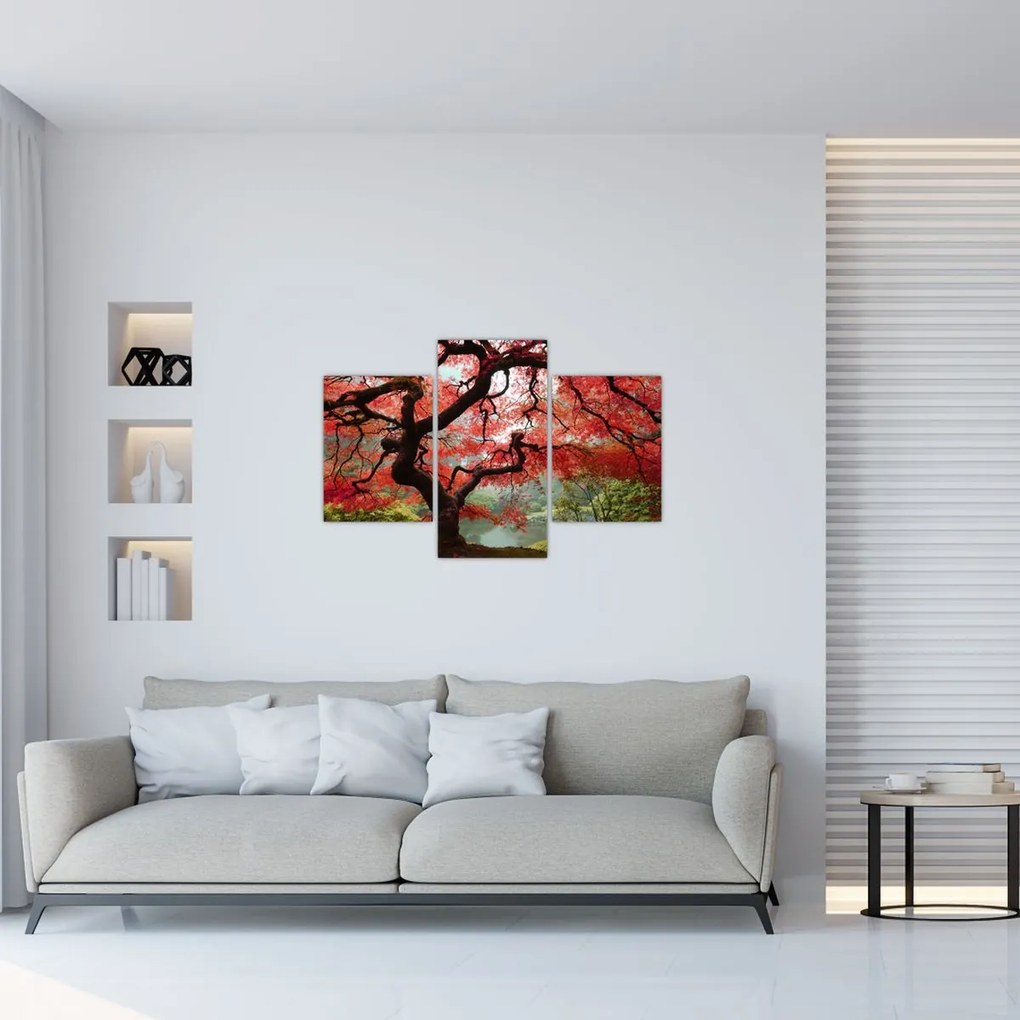 Tablou - Arțarul japonez roșu, Portland, Oregon (90x60 cm)