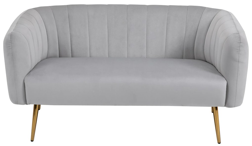 HOMCOM Canapea 2 Locuri Design Modern Captusita cu Cotiere si Spatar, Gri