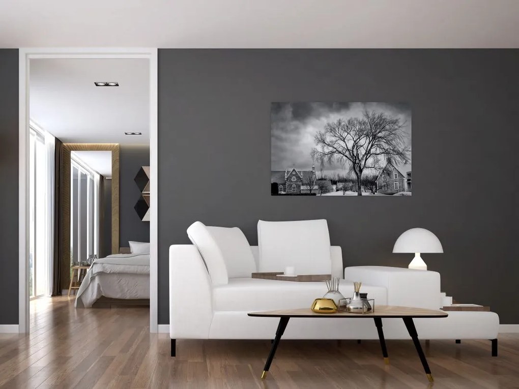 Tablou cu sat alb negru (90x60 cm)