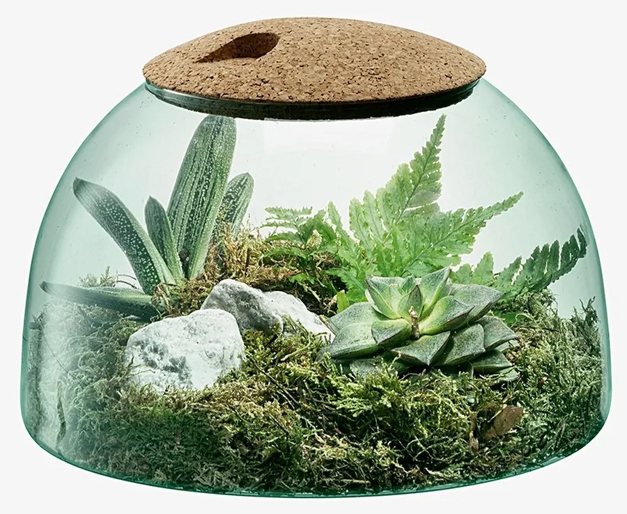 Decorațiune din sticlă, Canopy,  înălțime 16,5 cm, transparentă/ plută - LSA International