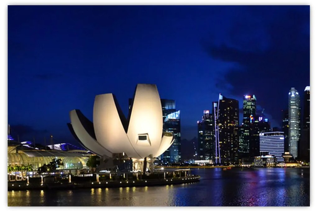 Tablou Singapore nocturn (90x60 cm)