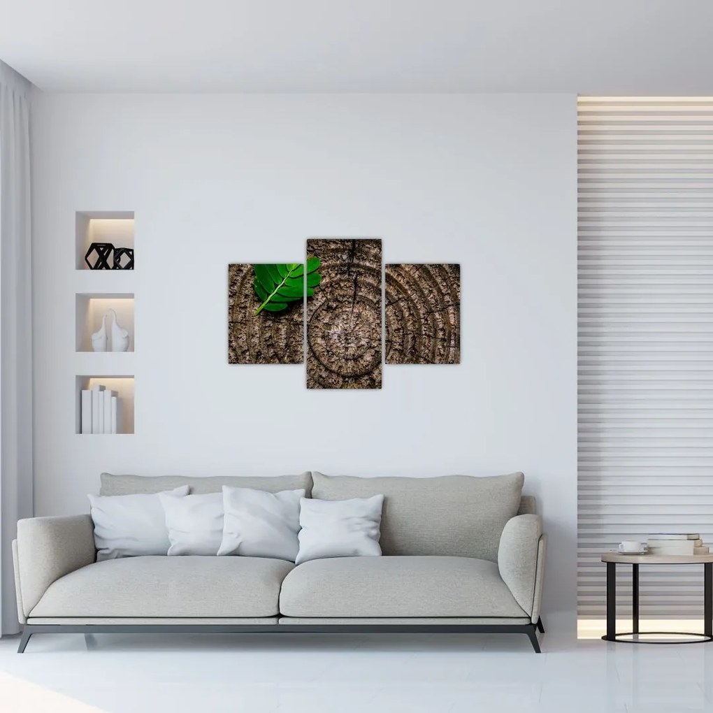 Tablou cu frunză pe trunchi de copac (90x60 cm)