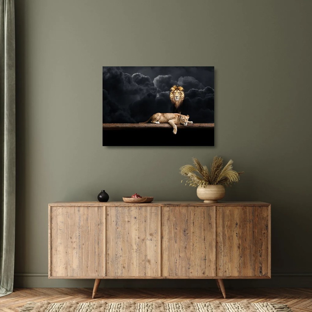 Tablou pe sticlă - Leu și leoaică (70x50 cm)