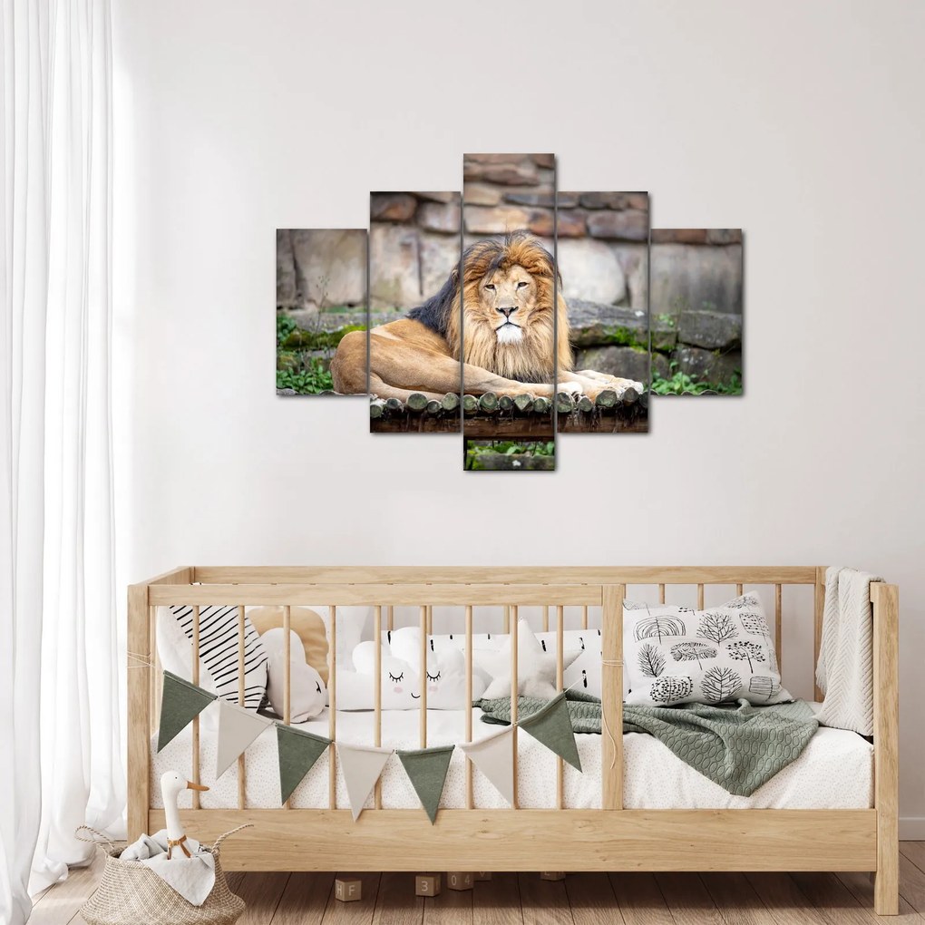 Tablou cu leu (150x105 cm)