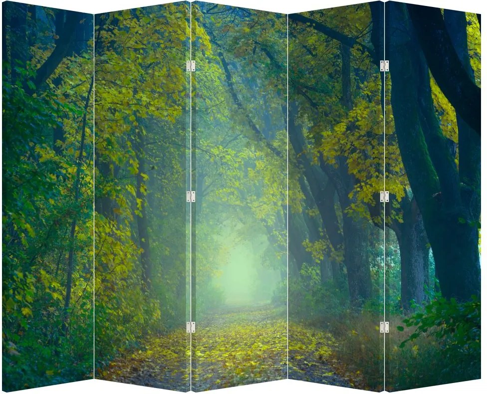 Paravan - Drum dea lungul cu copaci (210x170 cm)