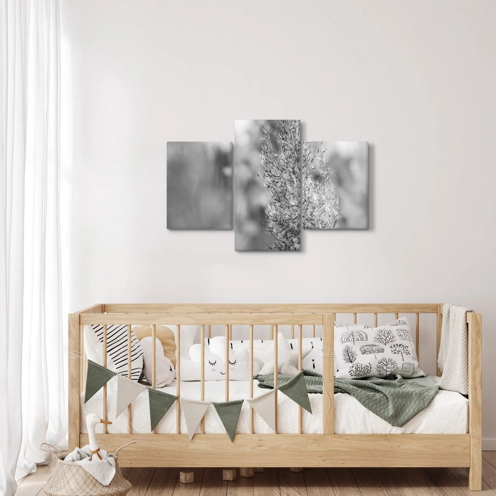 Tablou - Iarbă de pampas Boho (90x60 cm)
