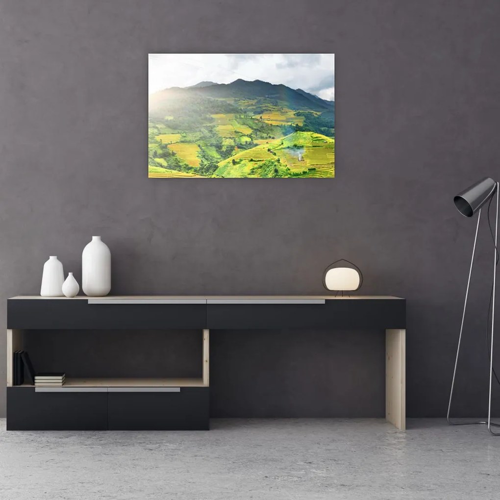 Tablou plantație (90x60 cm)