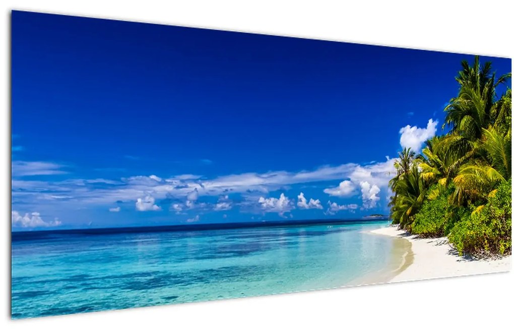 Tablou - Plaja tropicală (120x50 cm)