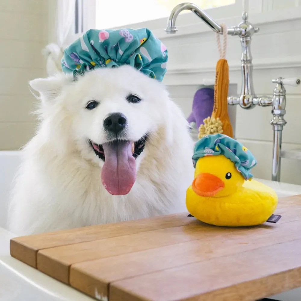 Jucărie pentru câine Duck – P.L.A.Y.