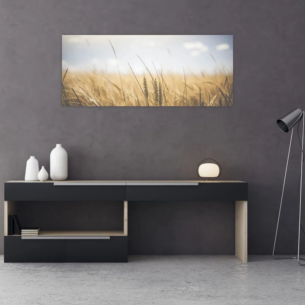 Tablou cu grâne (120x50 cm)