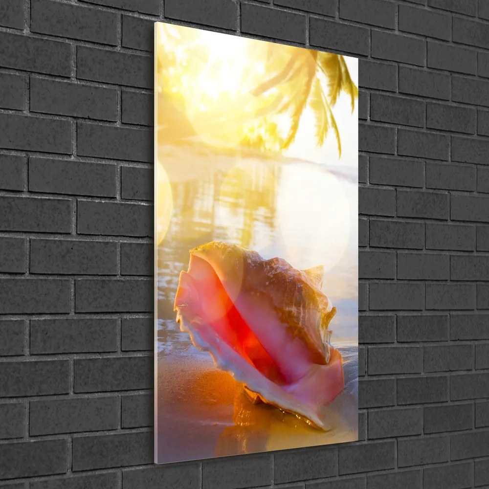 Tablou acrilic Seashell pe plaja