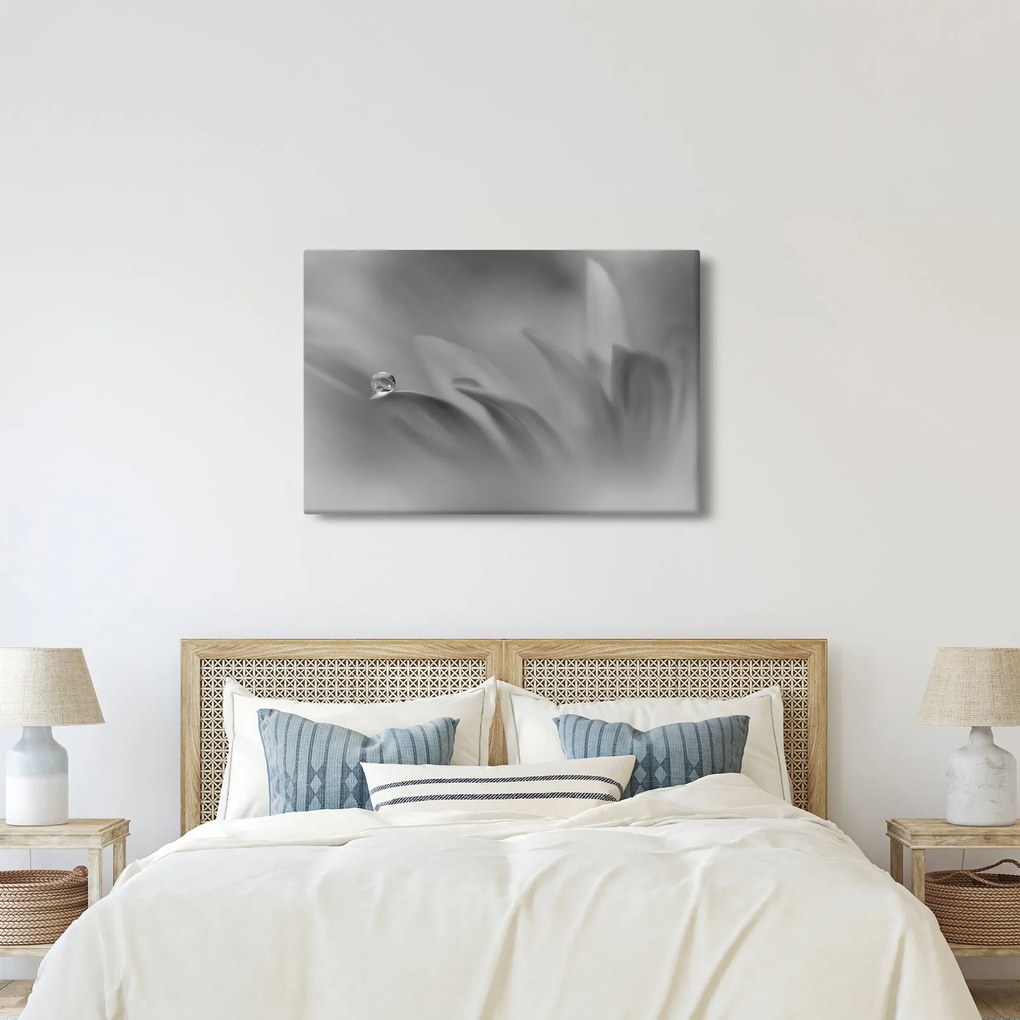 Tablou - Picătură pe floare,alb-negru (90x60 cm)