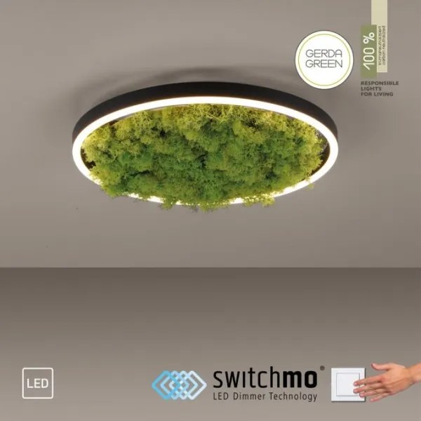 Plafonieră LED dimabilă JUST LIGHT. 15391-66 GREEN RITU LED/20W/230V