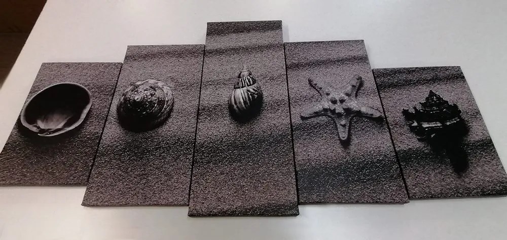 Tablou 5-piesei scoici pe o plajă cu nisip în design alb-negru