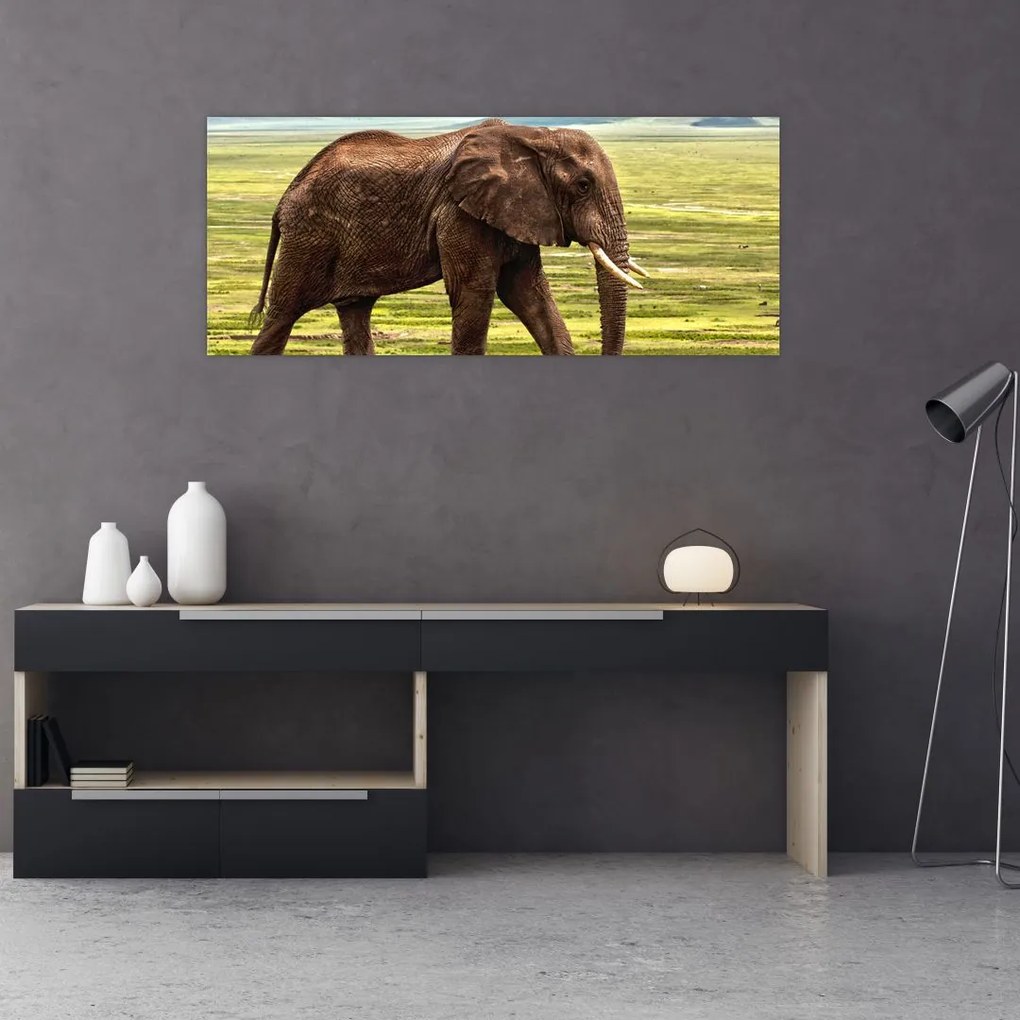 Tablou - Elefantul (120x50 cm)
