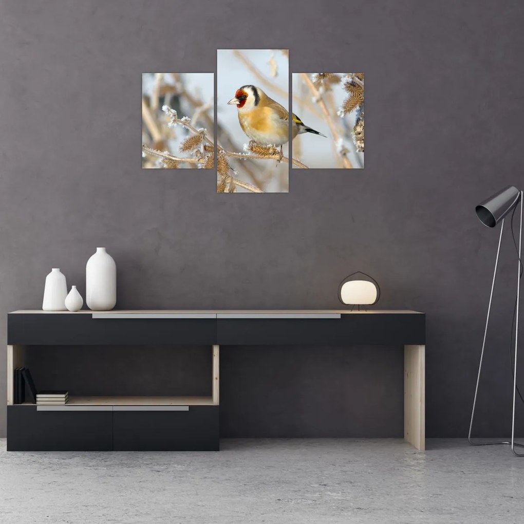 Tablou - Ciredeaua (90x60 cm)