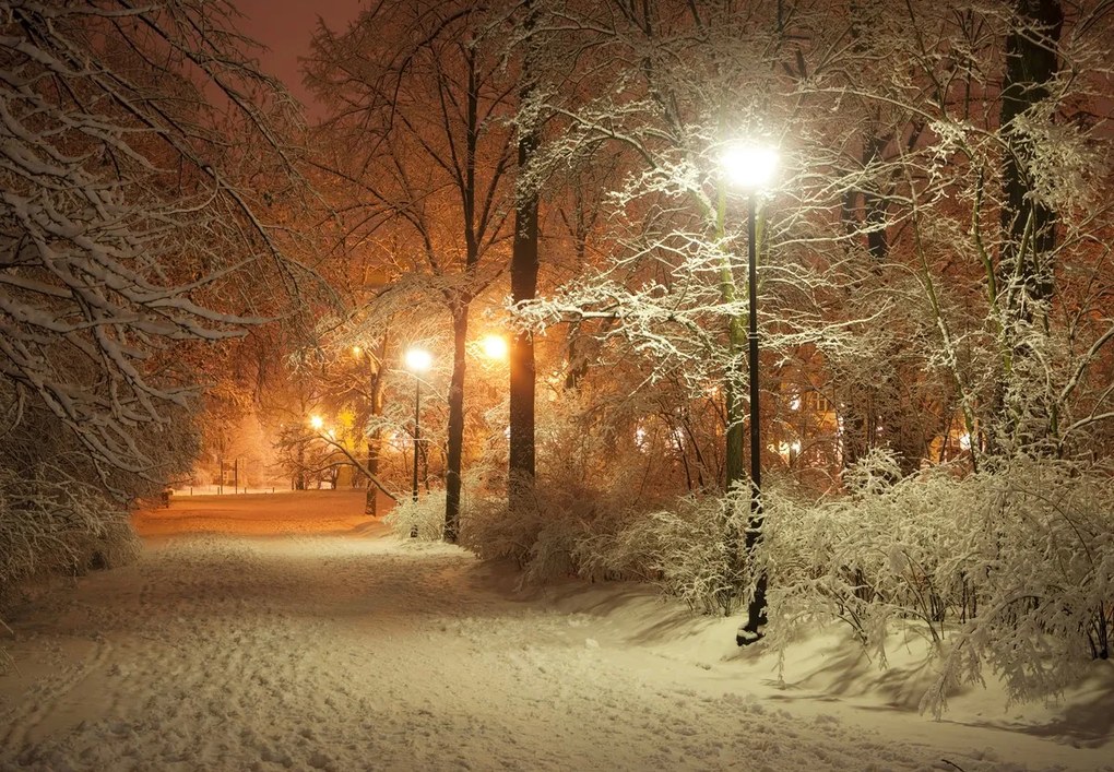 Fototapet - Parc înzăpezit (147x102 cm)