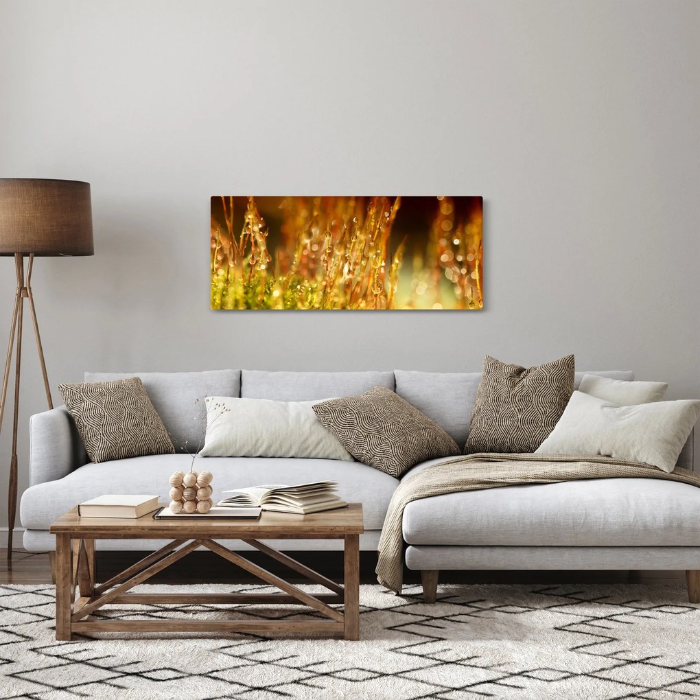 Tablou - Detaliu rouă (120x50 cm)