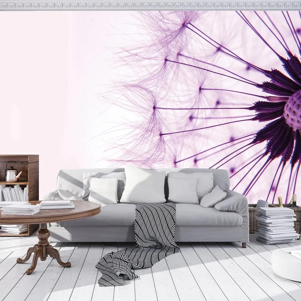 Fototapet - Păpădie - violetă (254x184 cm), în 8 de alte dimensiuni noi