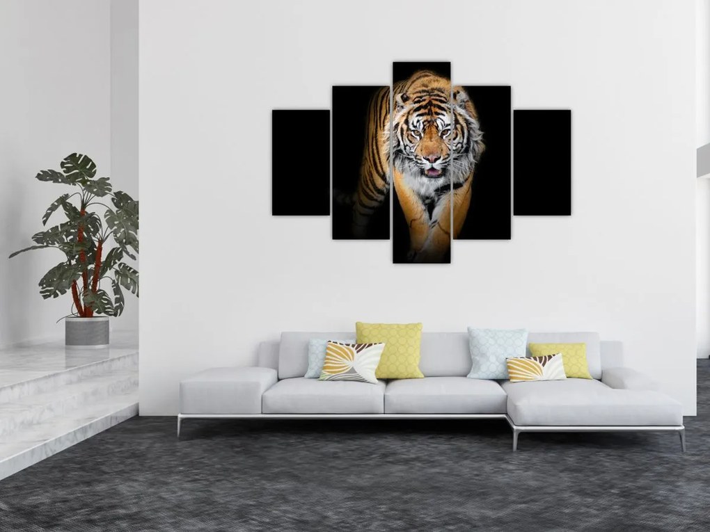 Tablou - Tiger (150x105 cm)