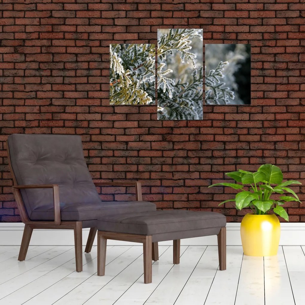 Tablou - Detaliu ramură (90x60 cm)