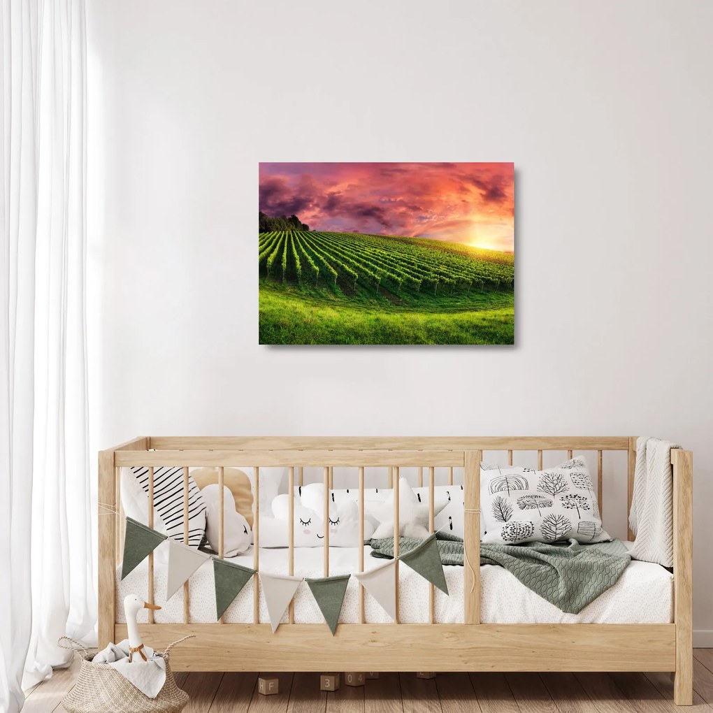 Tablou pe sticlă cu vie cu cerul color (70x50 cm)
